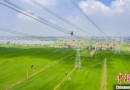 江苏海上风电并网突破千万千瓦 规模居全国首位