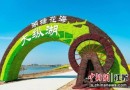 “湖塘花海”获评江苏休闲旅游农业四星级精品企业