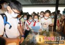 南京“文都青少年暑期研学夏令营”启动